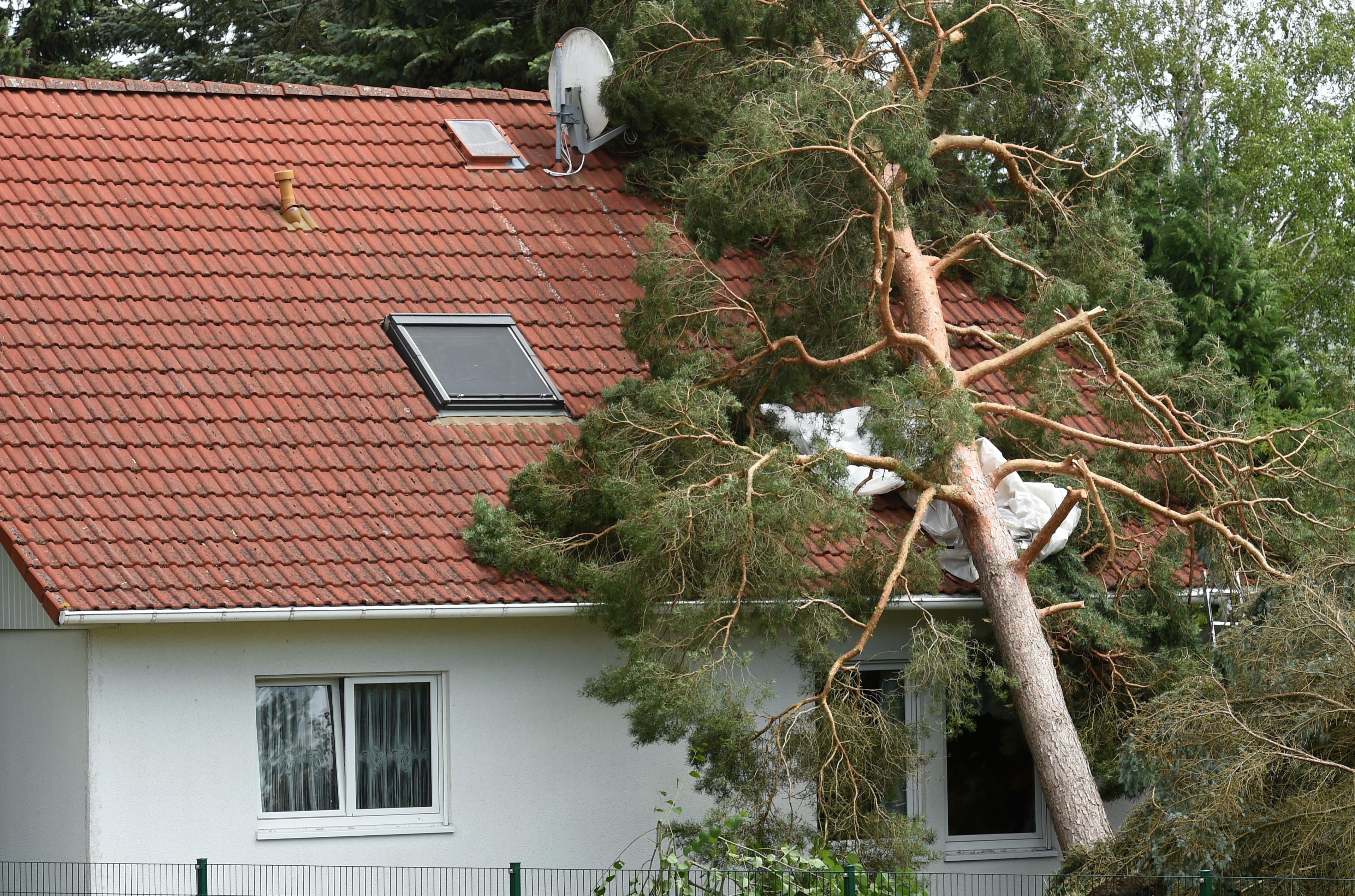 Gewitter, Sturm, Orkan: Wie Man Sich Bei Unwetter Verhält | BR24