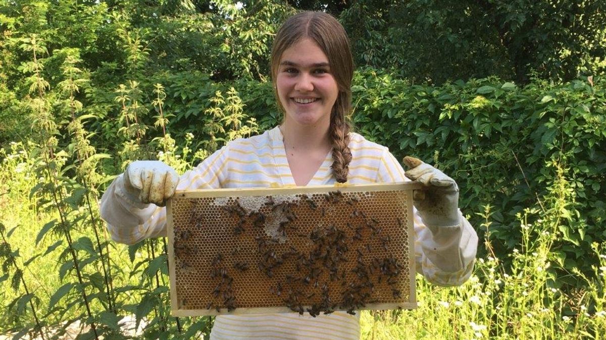 Sophia Rettet Die Bienen Mit 14 Jahren Imkerin Br24