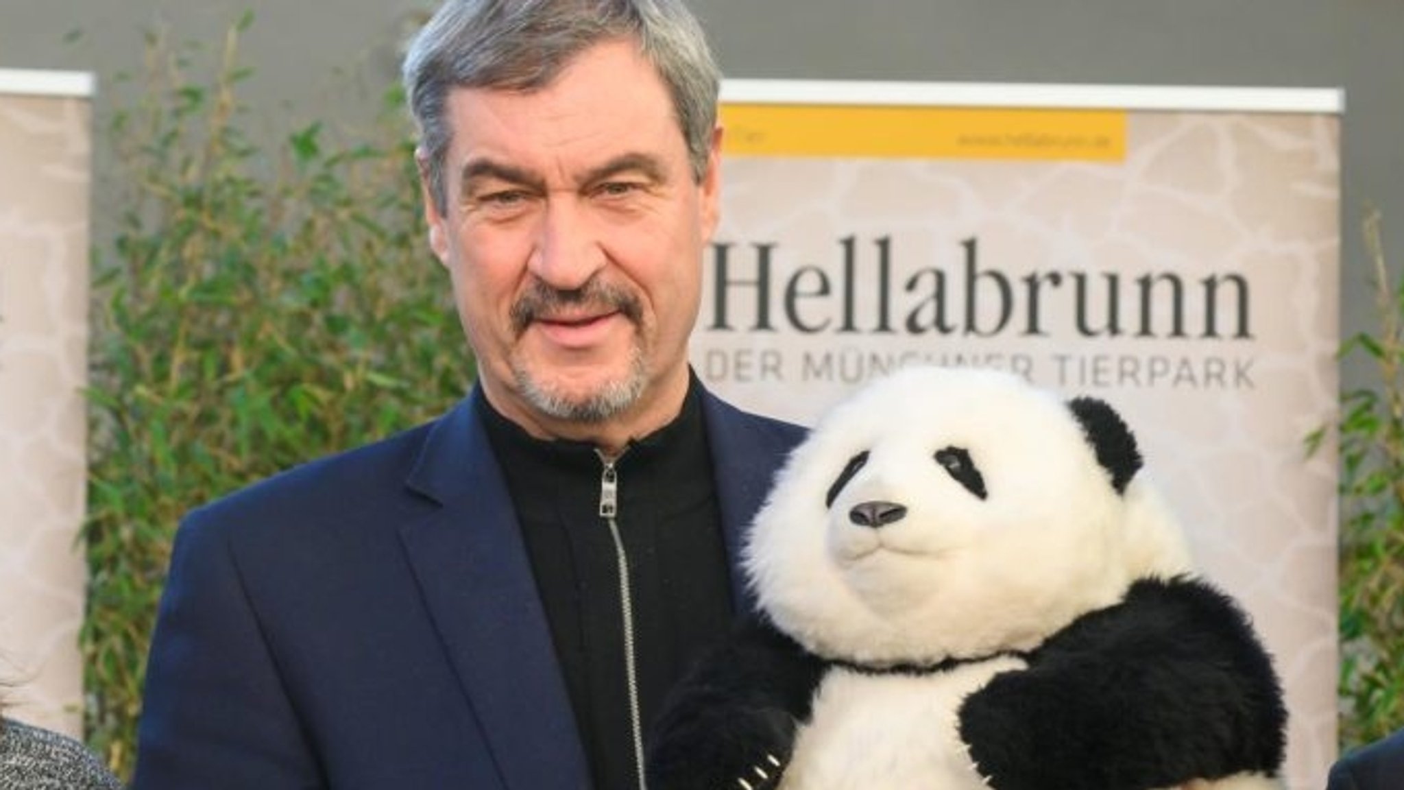 Landtag streitet über Millionen für Gehege: "Panda-Populismus?" 