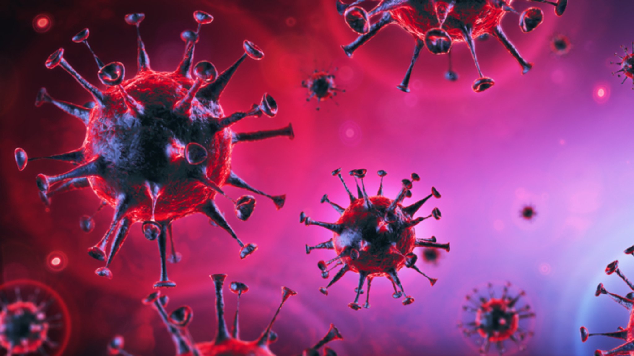 Animation des Coronavirus