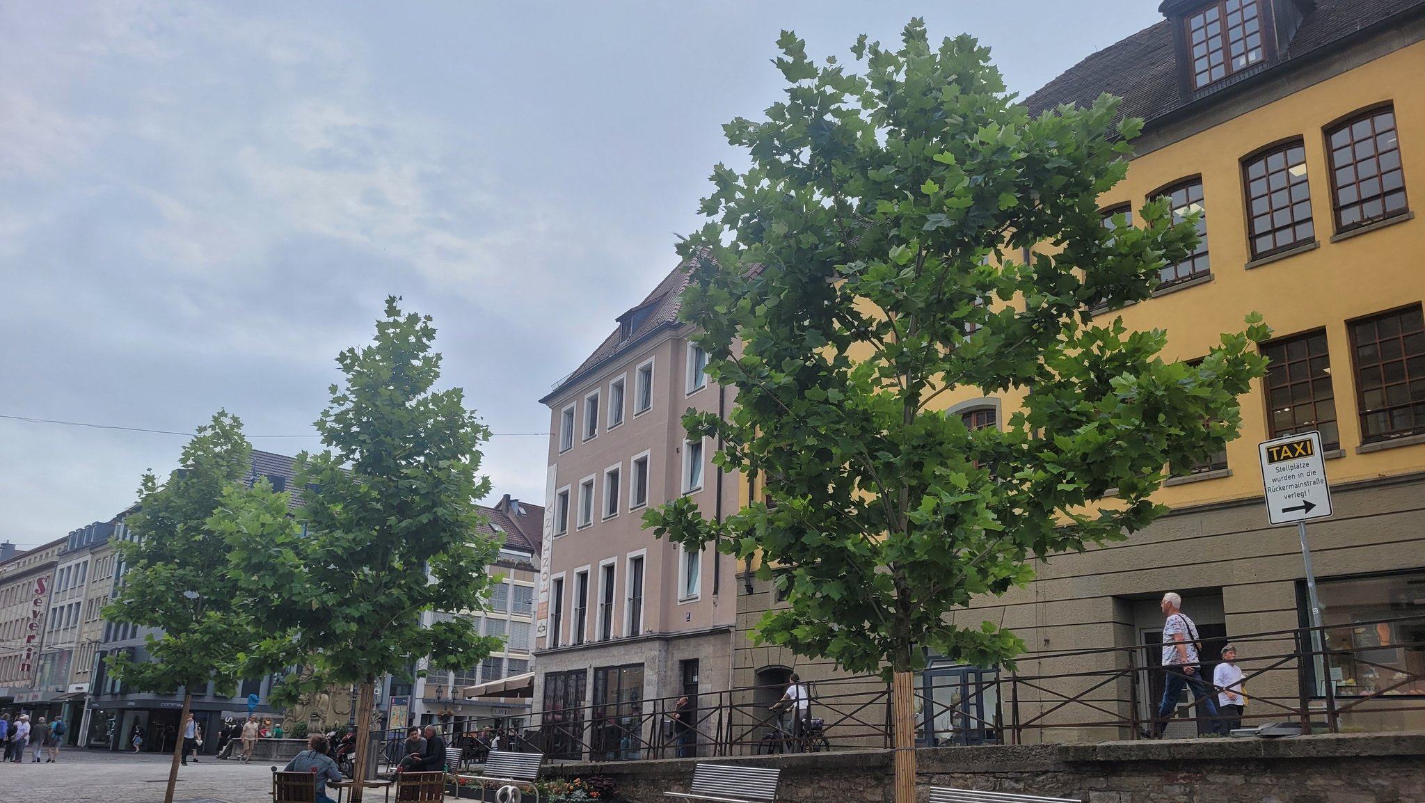 Drei der wenigen Bäume in der Würzburger Innenstadt. | Bild: BR/Carlotta Sauer Drei der wenigen Bäume in der Würzburger Innenstadt.
