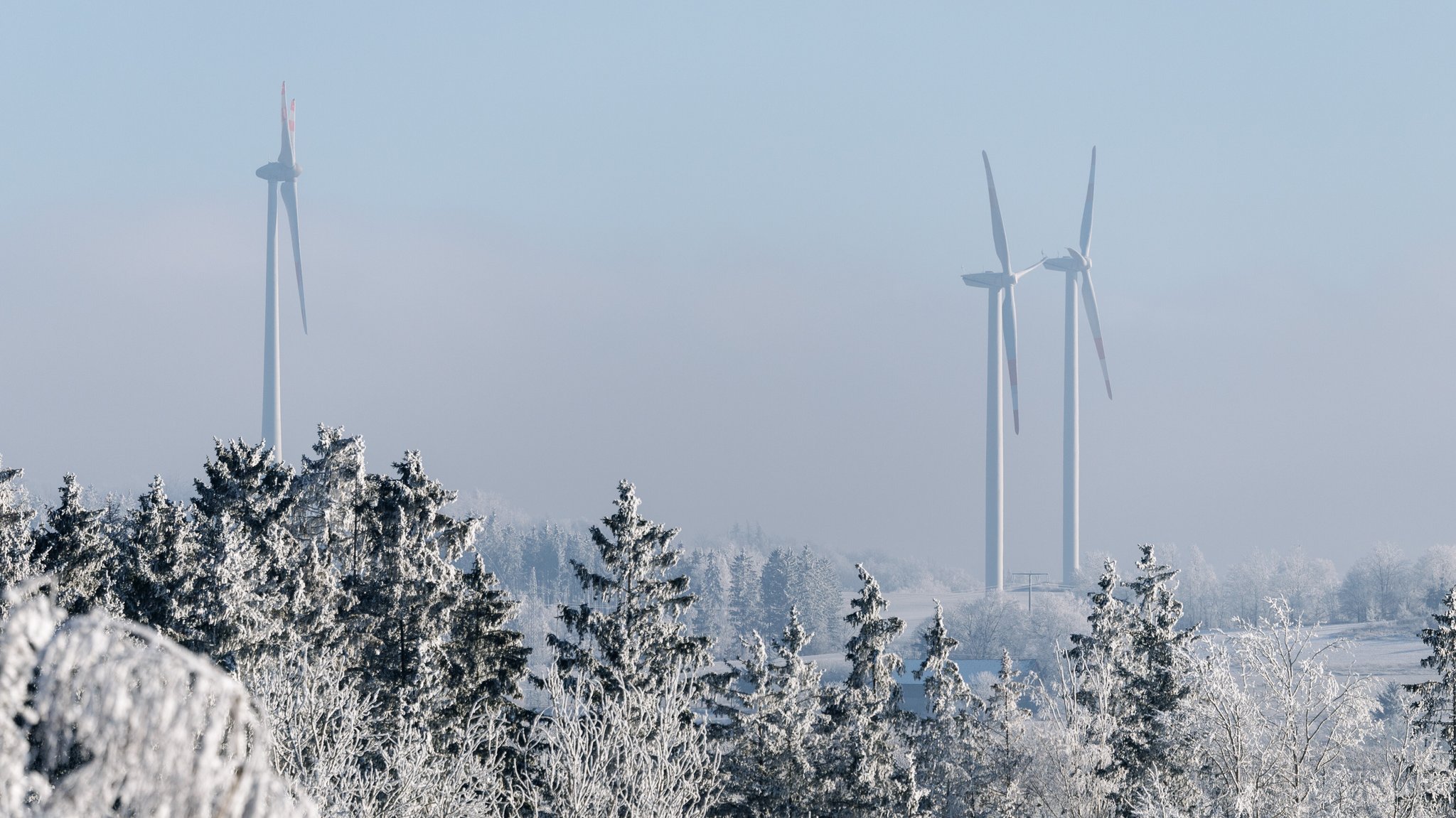 Windkraftanlagen sind am 31.12.2024 nahe der Stadt Hof (Bayern) zu sehen. | Bild: picture alliance / dpa | Matthias Balk Windkraftanlagen sind am 31.12.2024 nahe der Stadt Hof (Bayern) zu sehen.