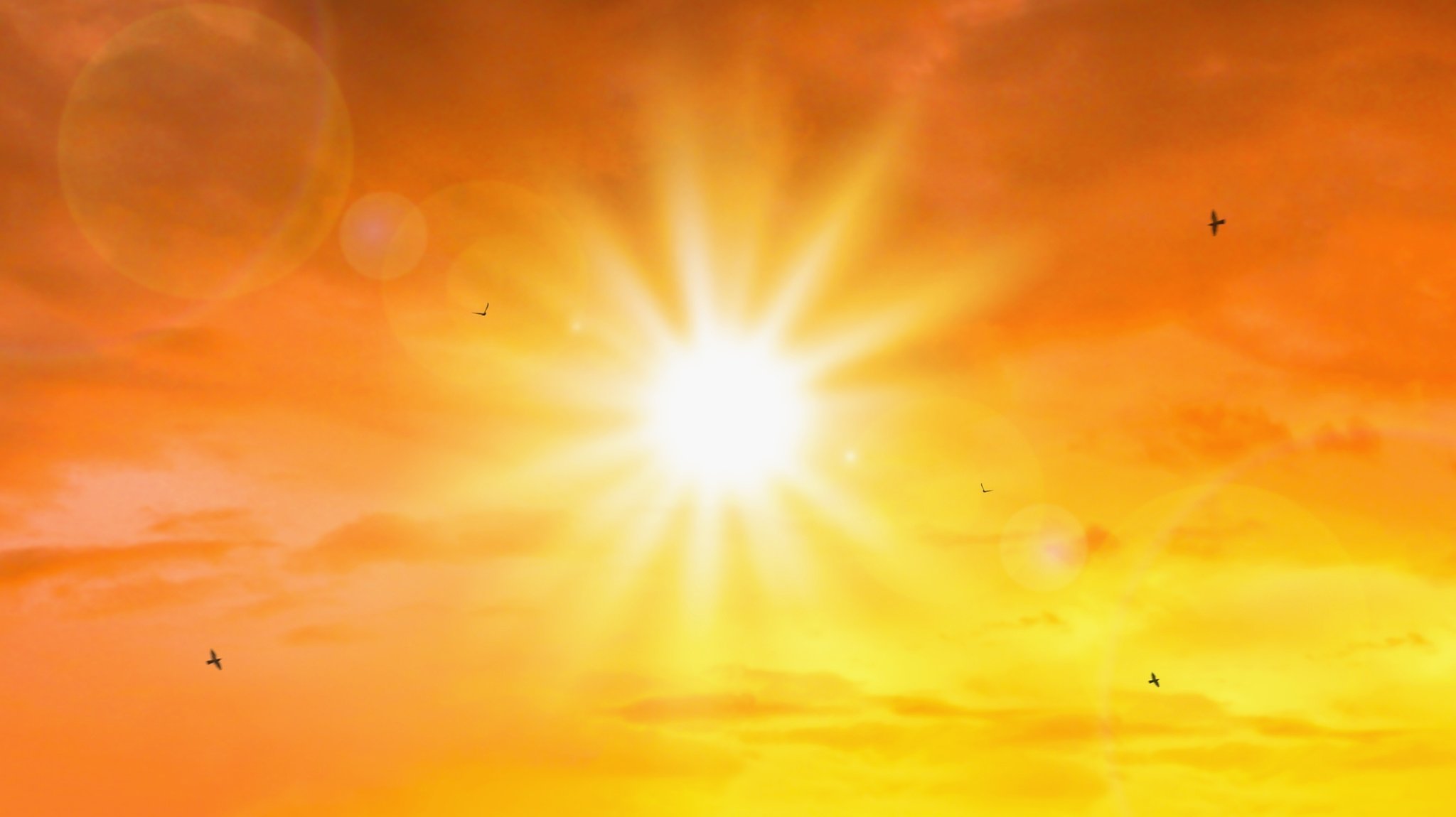 Direkter Blick in die Sonne. Das Bild ist stark orange als Symbol für die Hitzewellen. Es sind vereinzelt fliegende Vögel zu sehen.