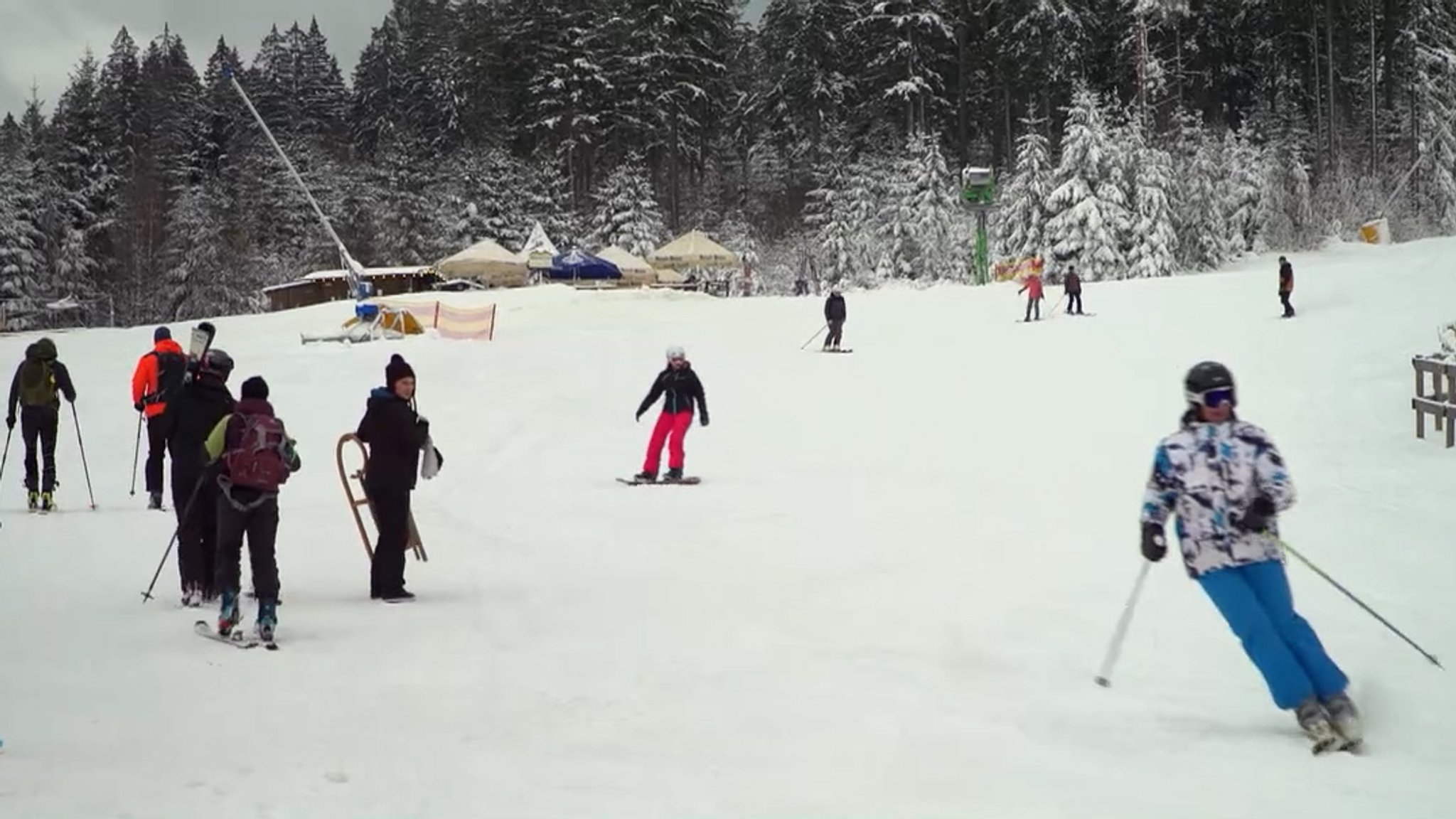 Skifahrer sind auf einer Piste unterwegs, im Hintergrund ein Wald.