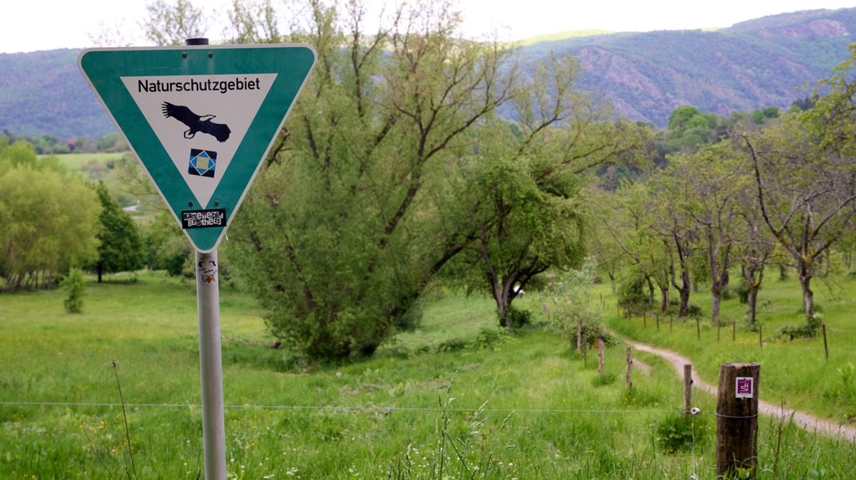 Ein Schild steht am Rand des Naturschutzgebiets