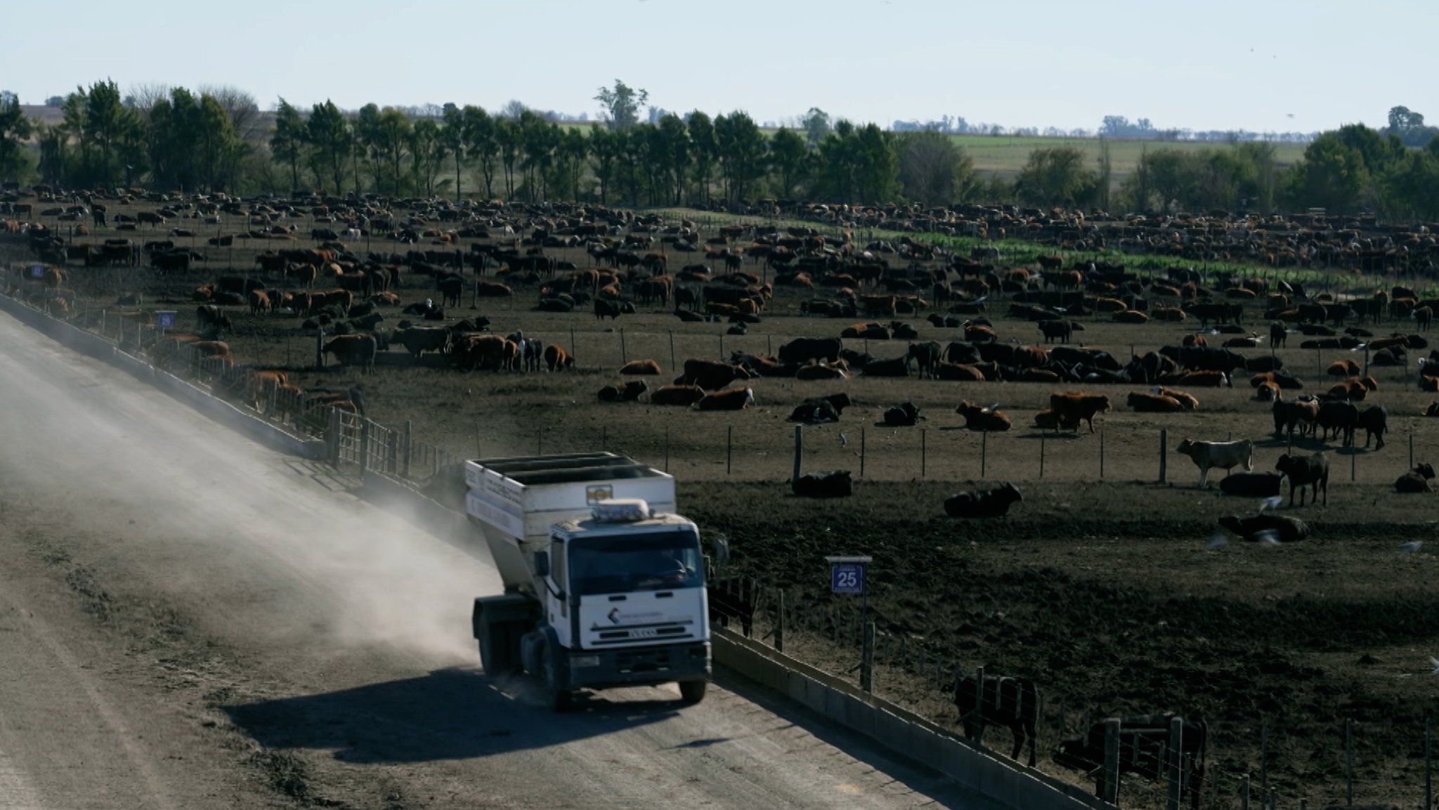 EU-Einigung: Weg für Mercosur-Handelsabkommen ist frei