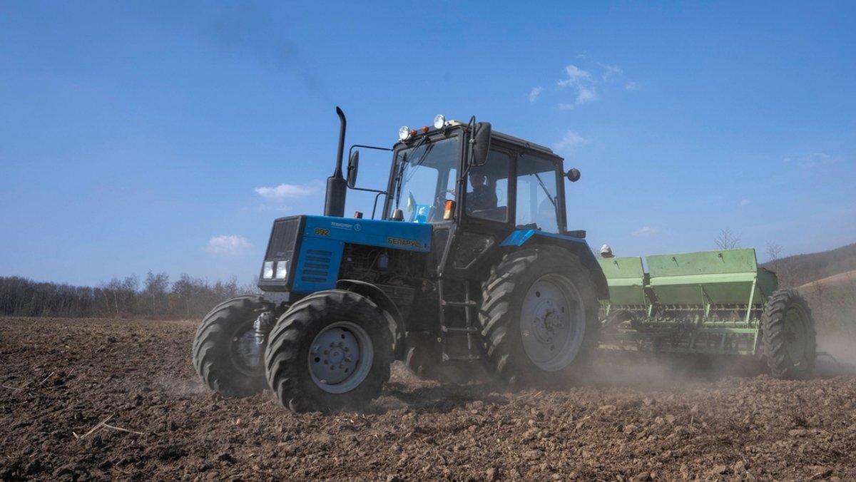 Weizen: Agrarpolitiker Häusling fordert andere Landwirtschaft