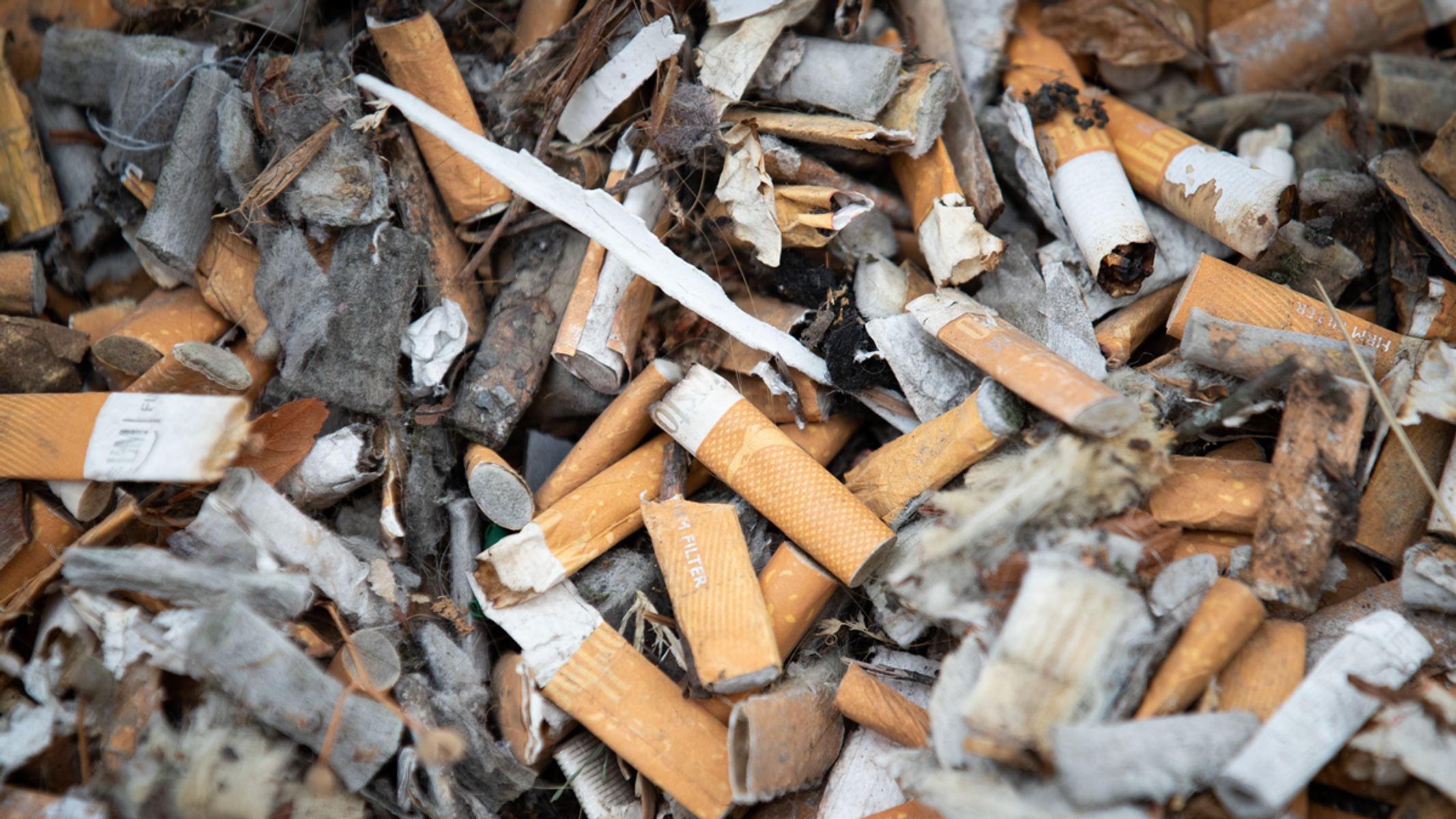 Warum das Pfand für Zigarettenstummel eine furchtbare Idee ist - Umwelt 