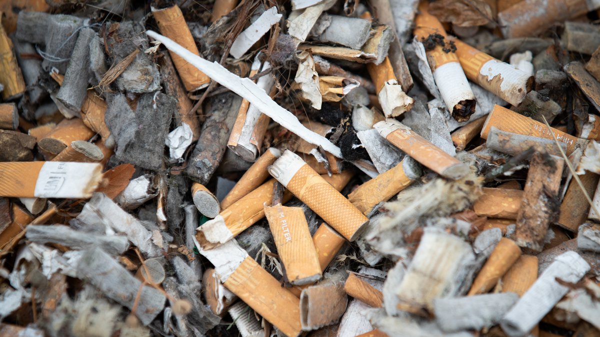 #Faktenfuchs: Wie umweltschädlich sind Zigarettenstummel?