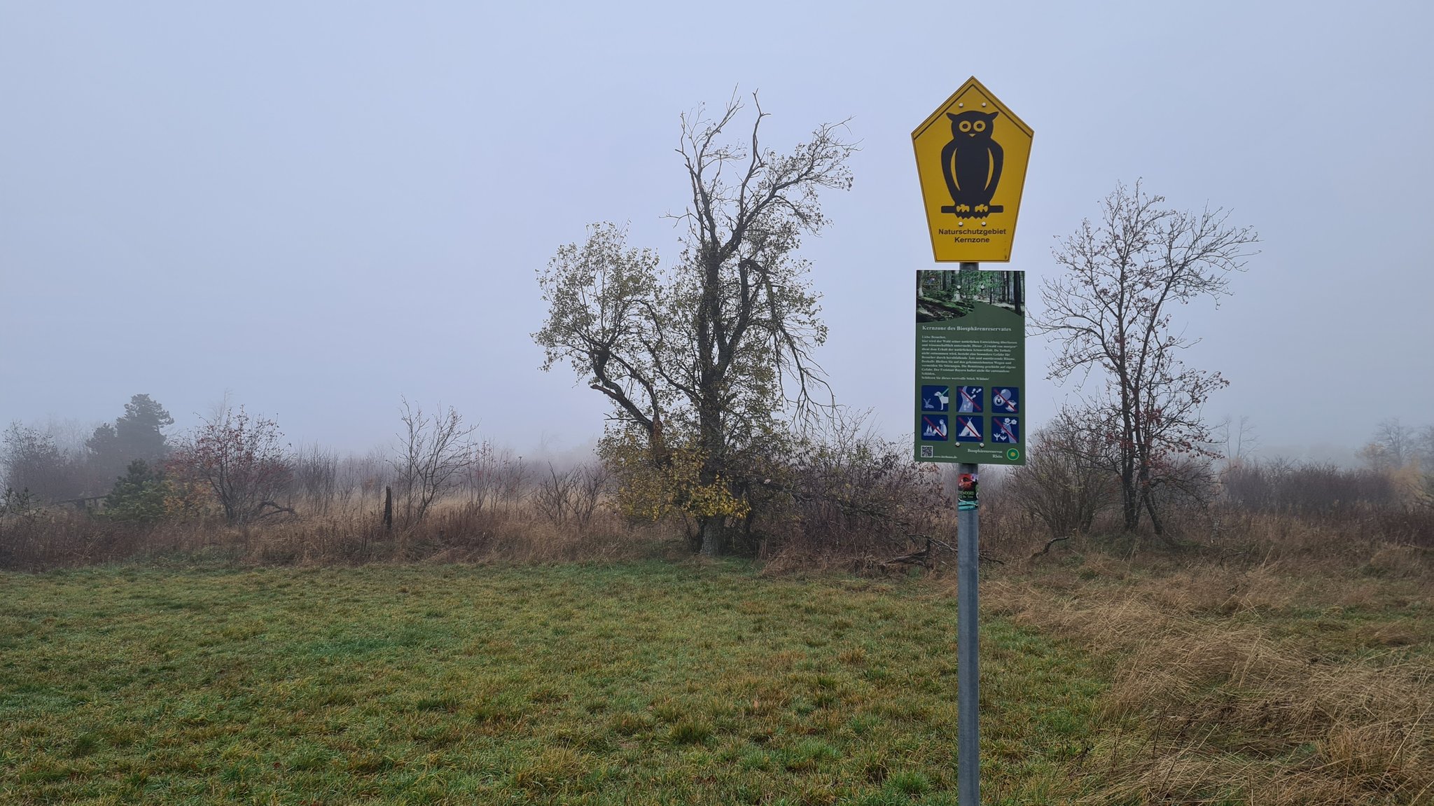 Der Rhön Rundwanderweg 3 im Schwarzen Moor verläuft zwischen der Kernzone Querenberg und dem Naturschutzgebiet Lange Rhön. 