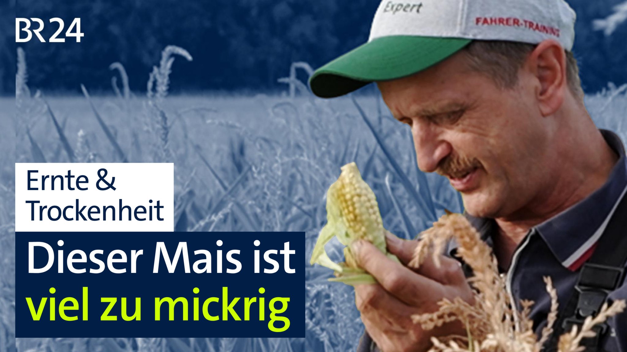 Ein Landwirt betrachtet einen kleinen Maiskolben. | Bild: BR Ein Landwirt betrachtet einen kleinen Maiskolben.