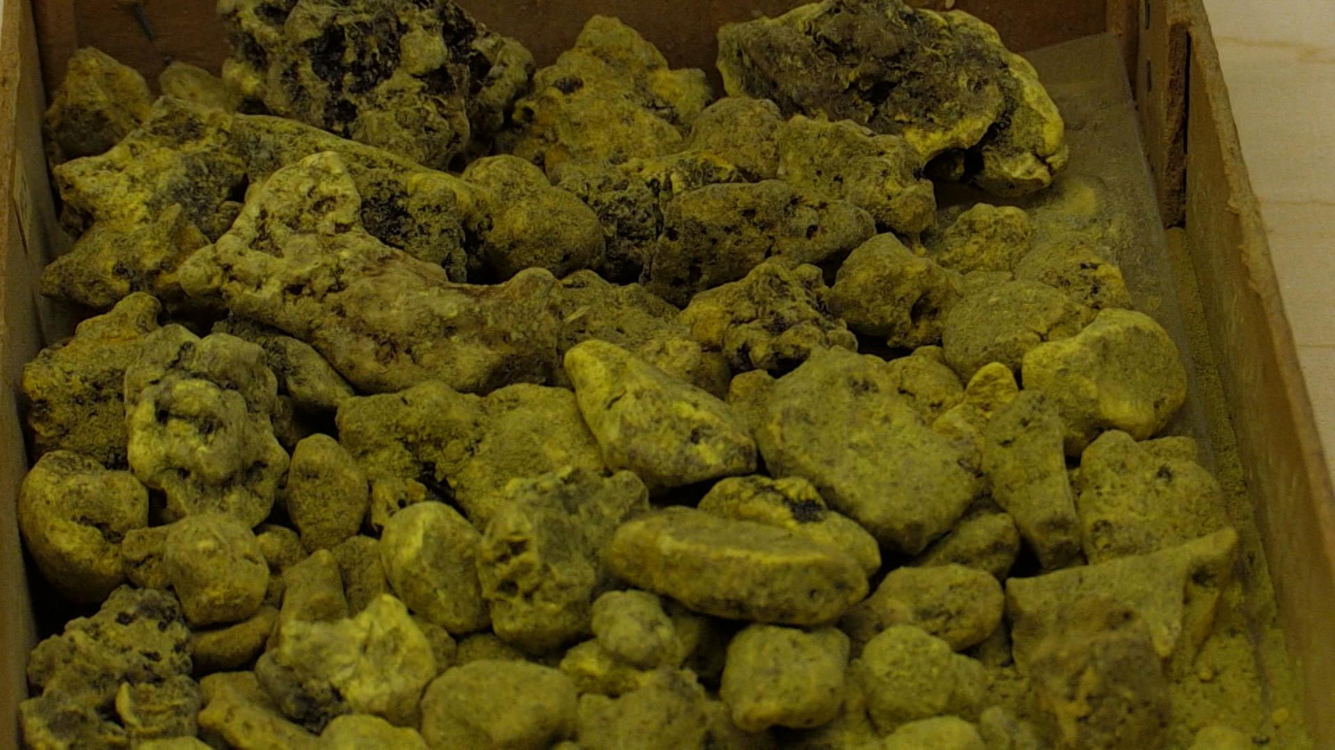 Eine Schublade mit vielen gelbgrünen Gesteinsbrocken. 