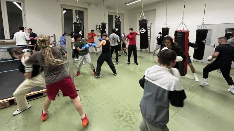Die Jugend der Boxabteilung von TSV 1860 München hat mehrheitlich nichts gegen neue Schulden | Bild: BR/pa Die Jugend der Boxabteilung von TSV 1860 München hat mehrheitlich nichts gegen neue Schulden