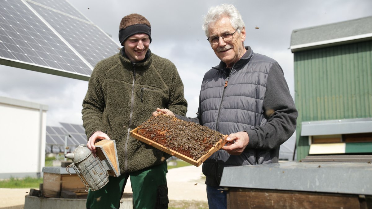 Tobias Nett und Norbert Hauer gucken in den Bienenstock des Ansbacher Bienenzüchtervereins.