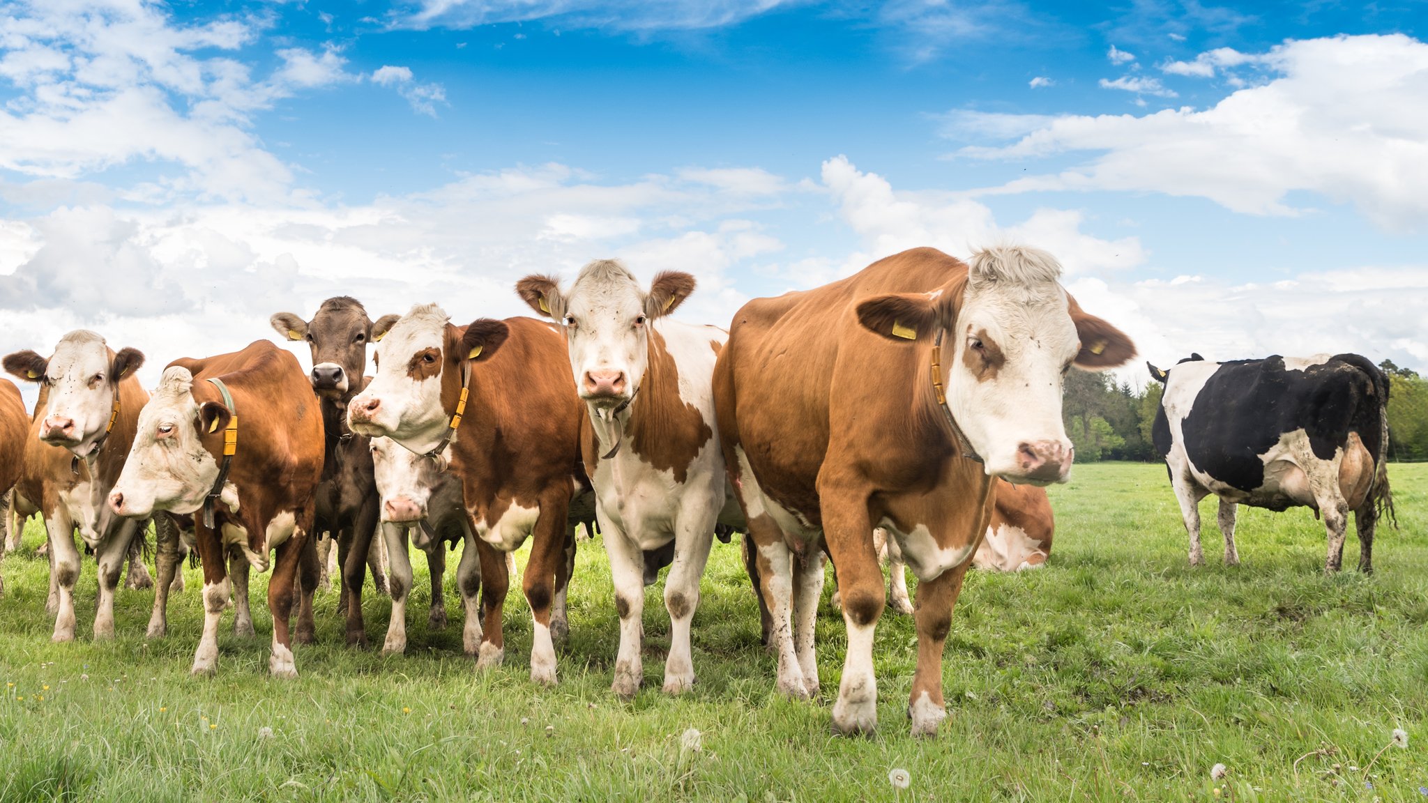 Die Zukunft der Landwirtschaft: Nachrichten & Entwicklungen