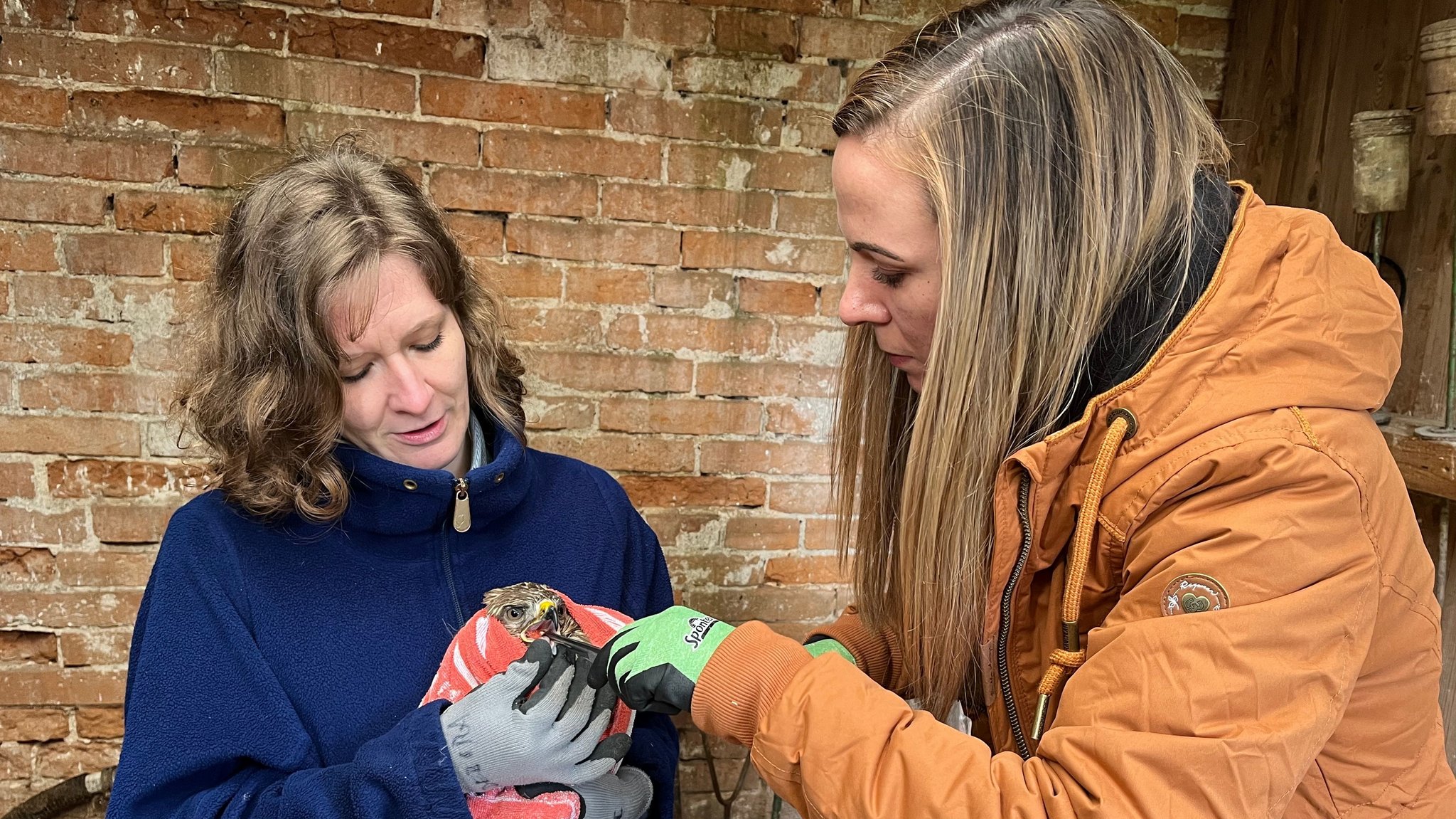 Zwei Frauen füttern einen Vogel 