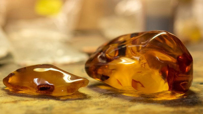 Bernsteine | Bild: picture alliance/dpa/dpa-Zentralbild | Stephan Schulz Bernsteine