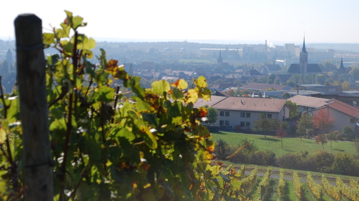 Blick vom Weinberg auf Iphofen im Landkreis Kitzingen.