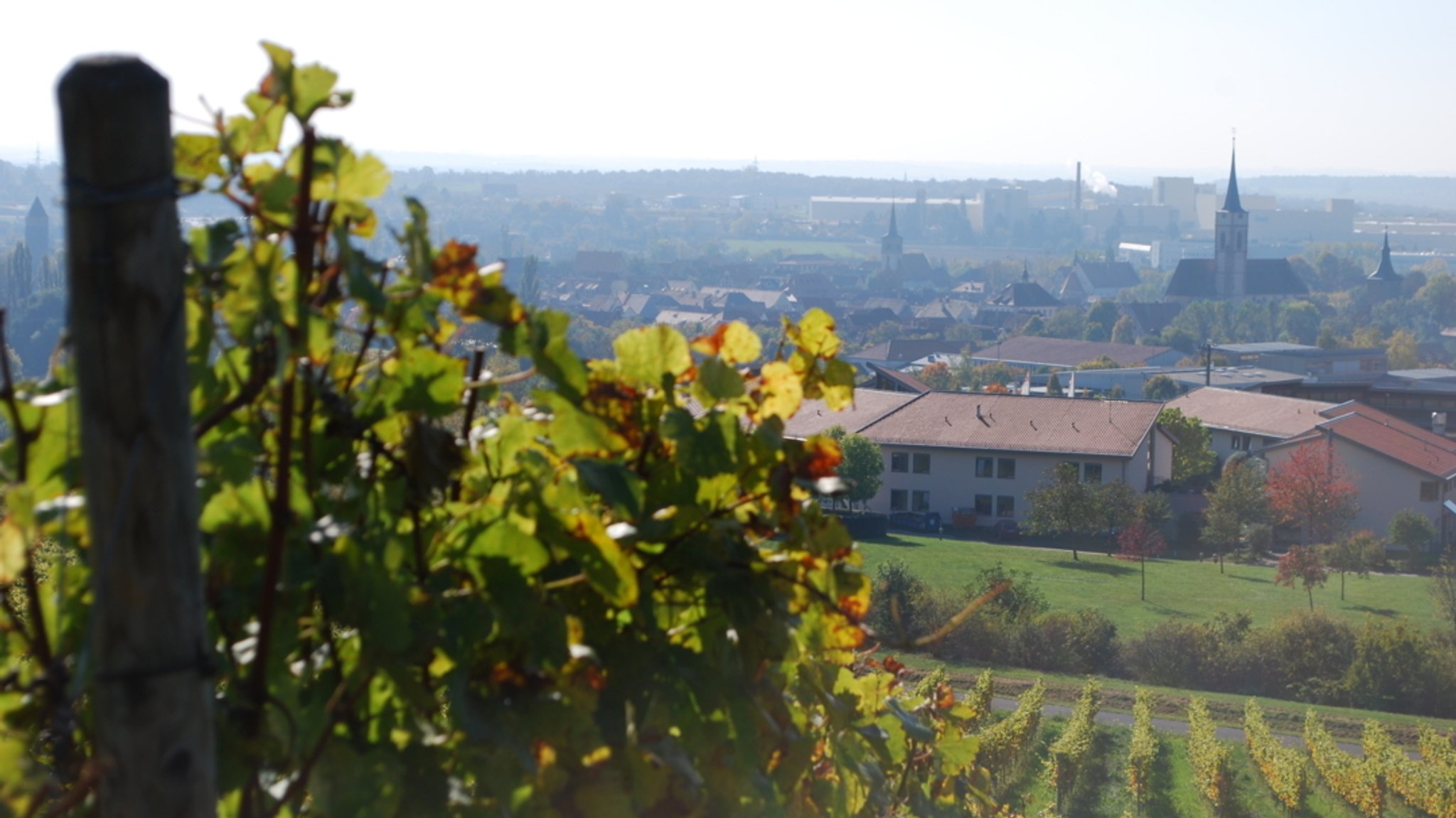 Weinbergbewässerung: Stadt Iphofen und Winzer teilen sich Kosten