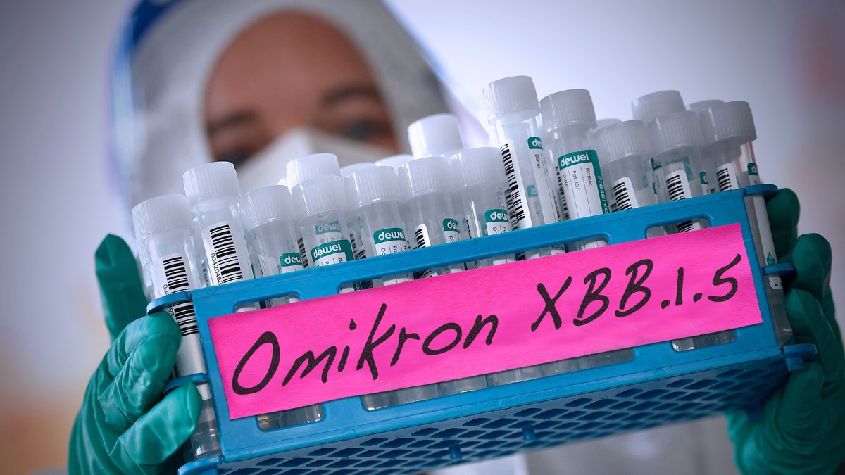 Symbolfoto mit Omikron Variante XBB.1.5-Testsample