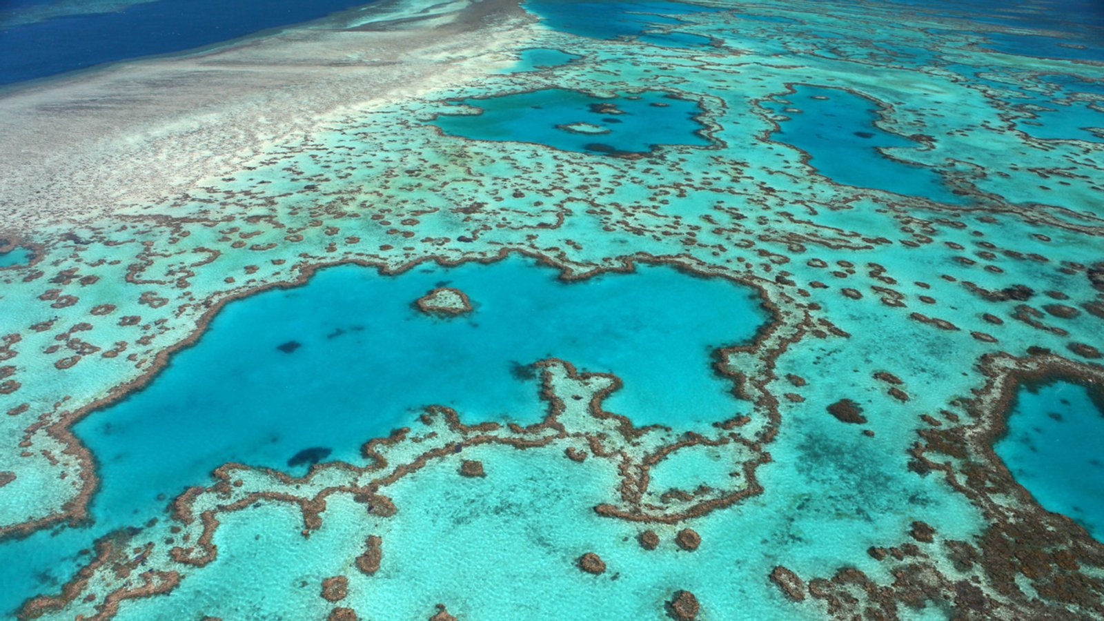 Australien bietet Millionen für Rettung des Great Barrier Reefs