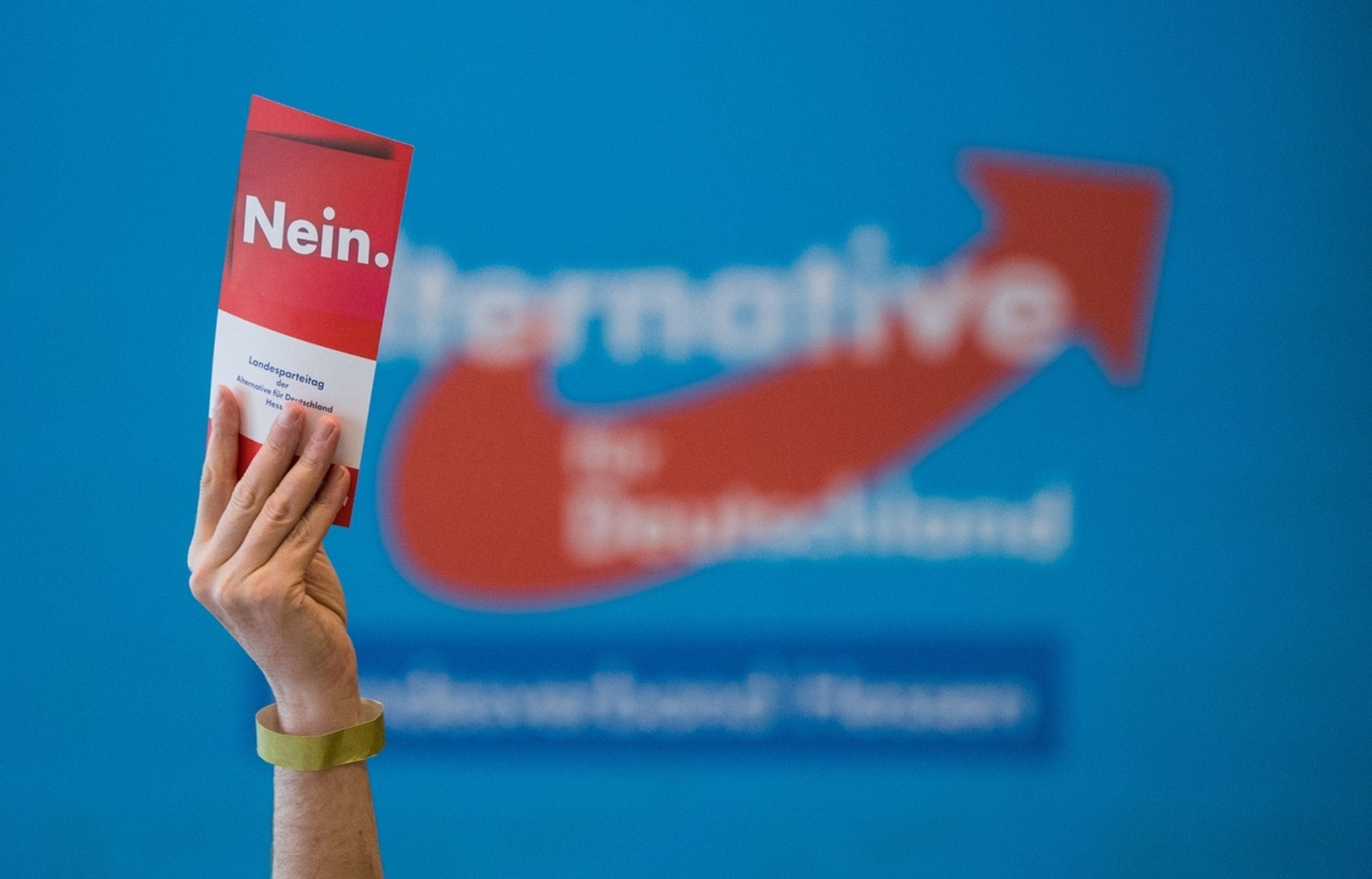 Steuergeld: AfD-Delegierte entscheiden über parteinahe Stiftung