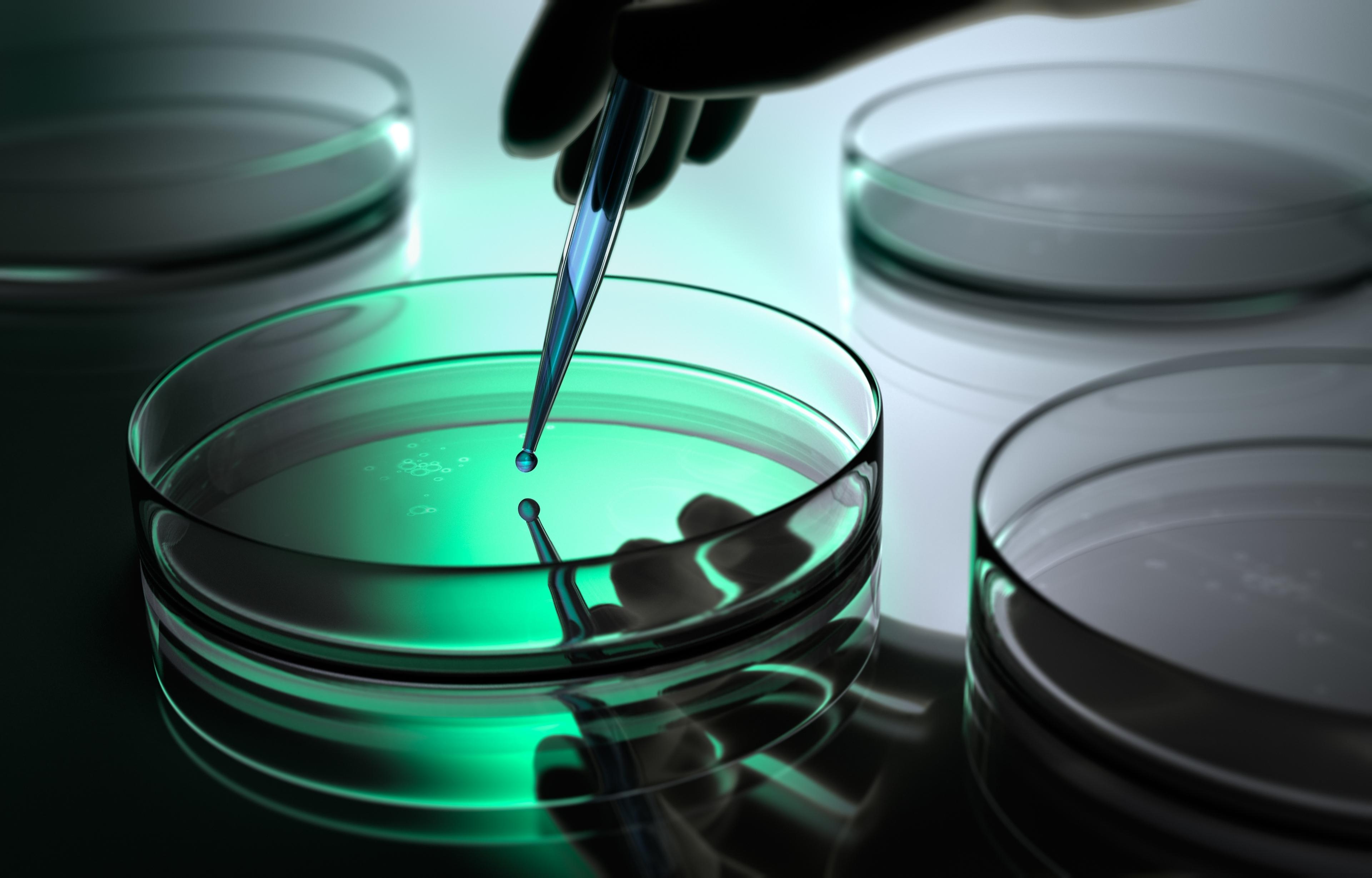 Petrischale in einem Labor.