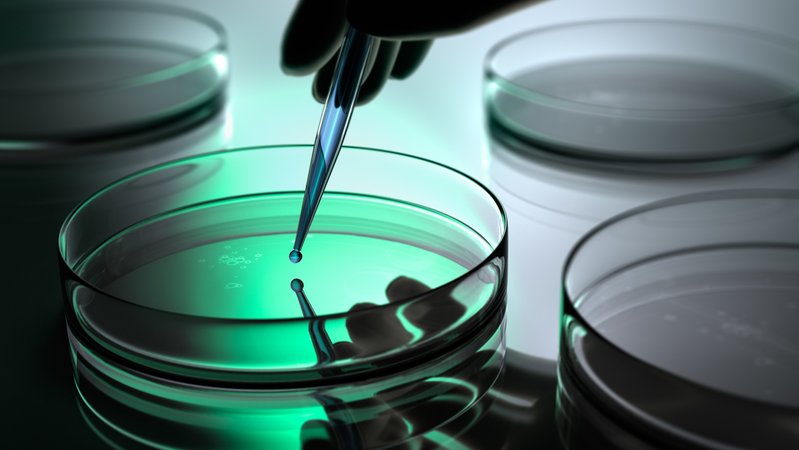 Petrischale in einem Labor. | Bild: stock.adobe.com/peterschreiber.media Petrischale in einem Labor.