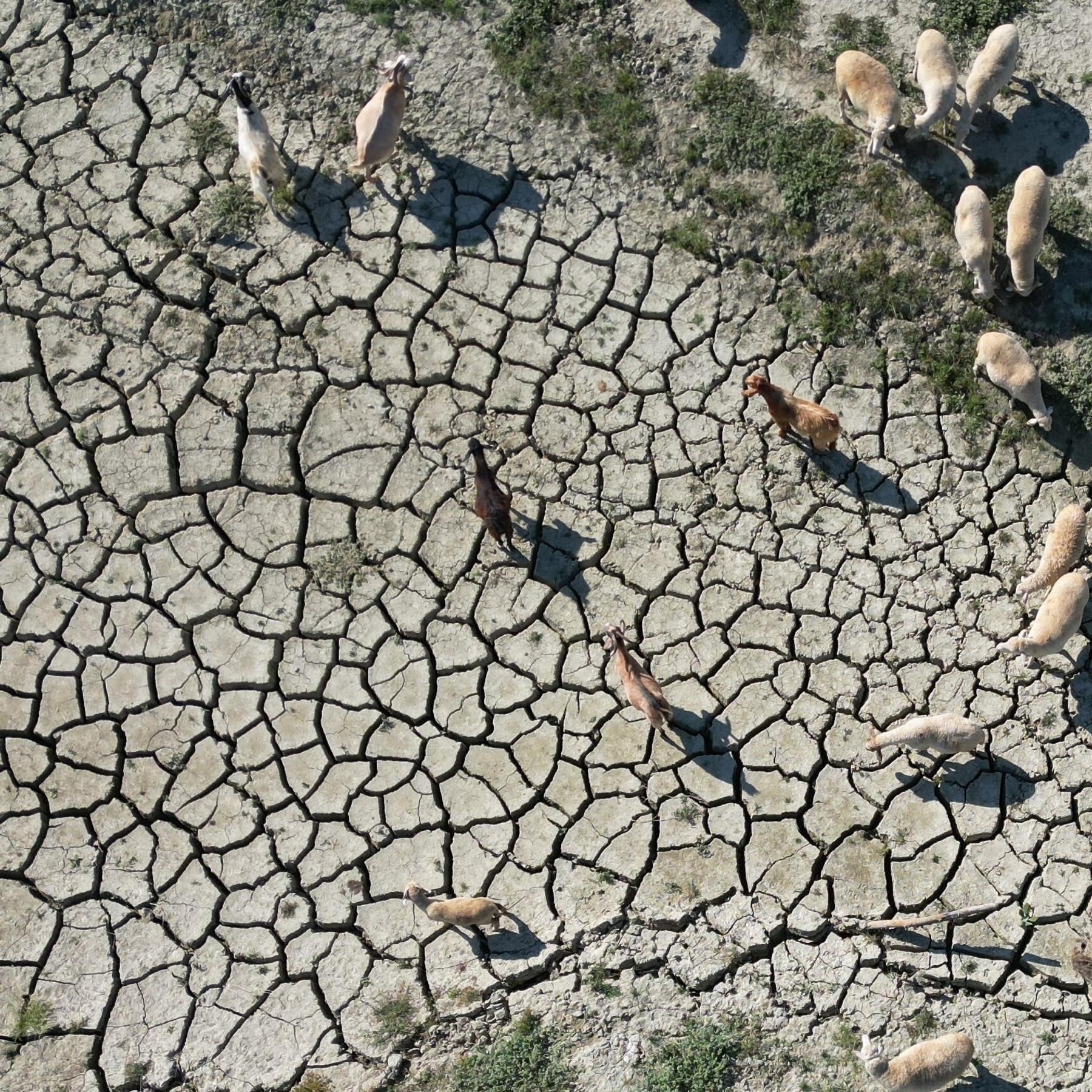 Hitze, Dürre, Überschwemmung - So rüsten wir uns für die Krise