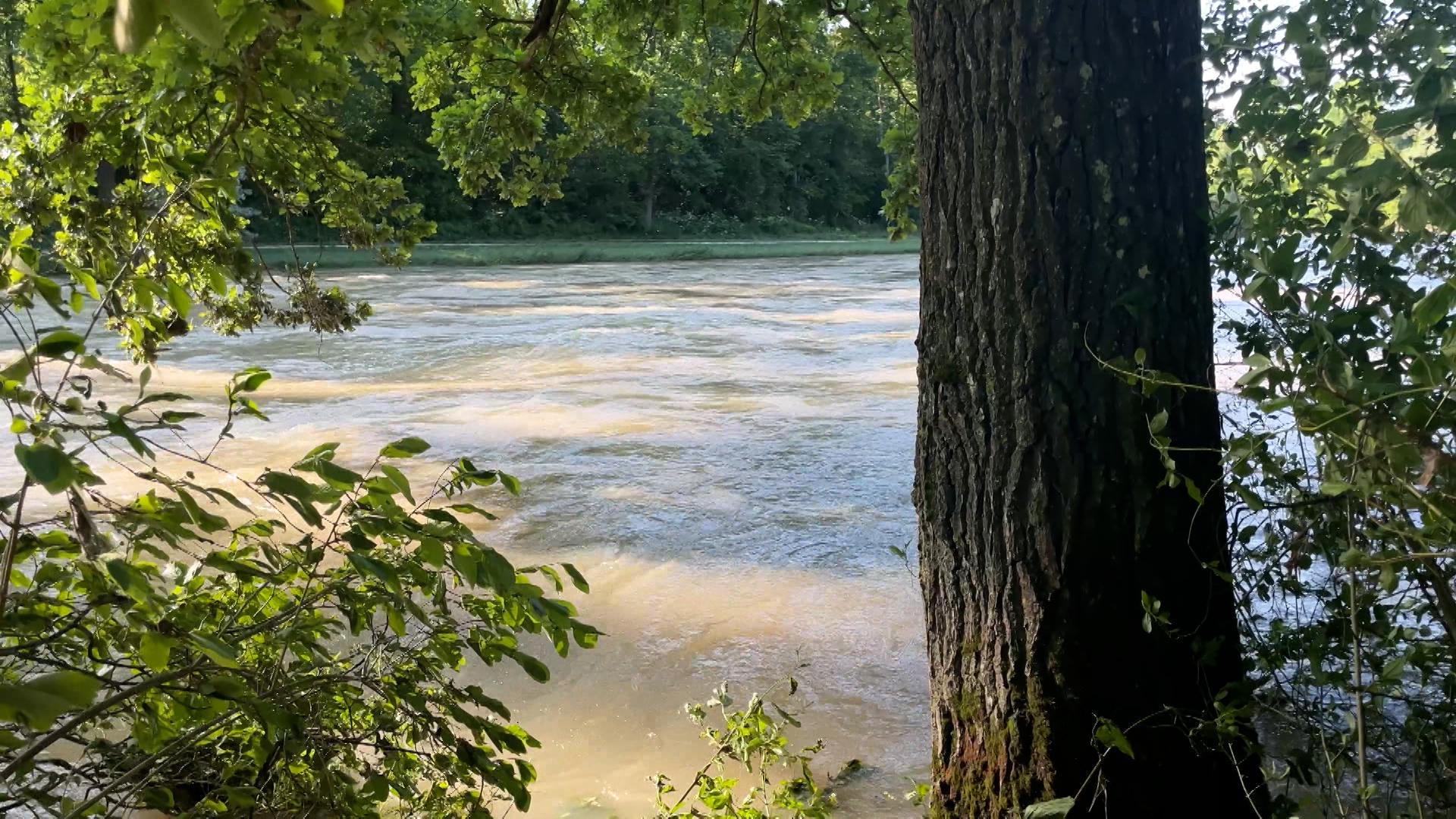 Fluten im Silberwald bei Neu-Ulm