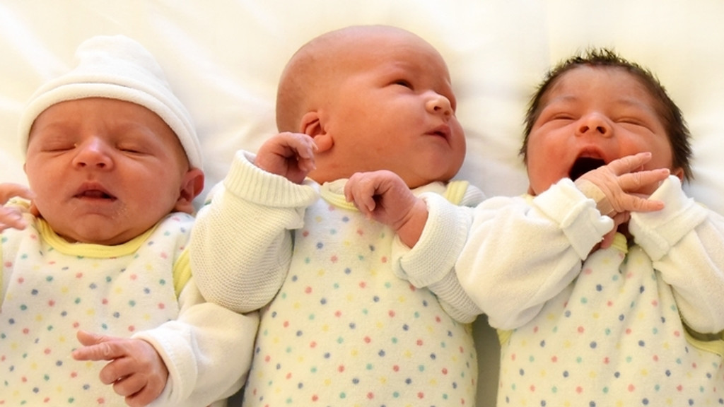 Mehrere Neugeborene liegen nebeneinander