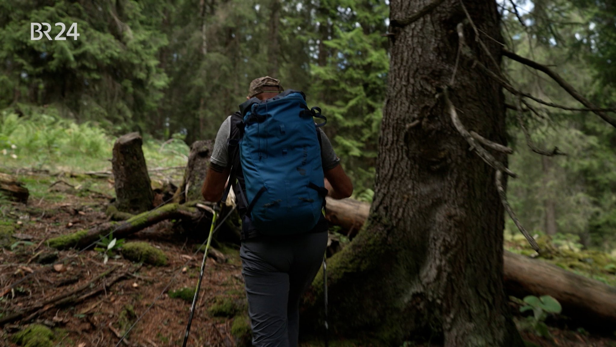 Roland Stadler von der Bergwacht Kochel folgt einer Route aus dem Internet, die kein Wanderweg, sondern eine Gamssteige ist | Bild: BR/Noel Chojnacki Roland Stadler von der Bergwacht Kochel folgt einer Route aus dem Internet, die kein Wanderweg, sondern eine Gamssteige ist