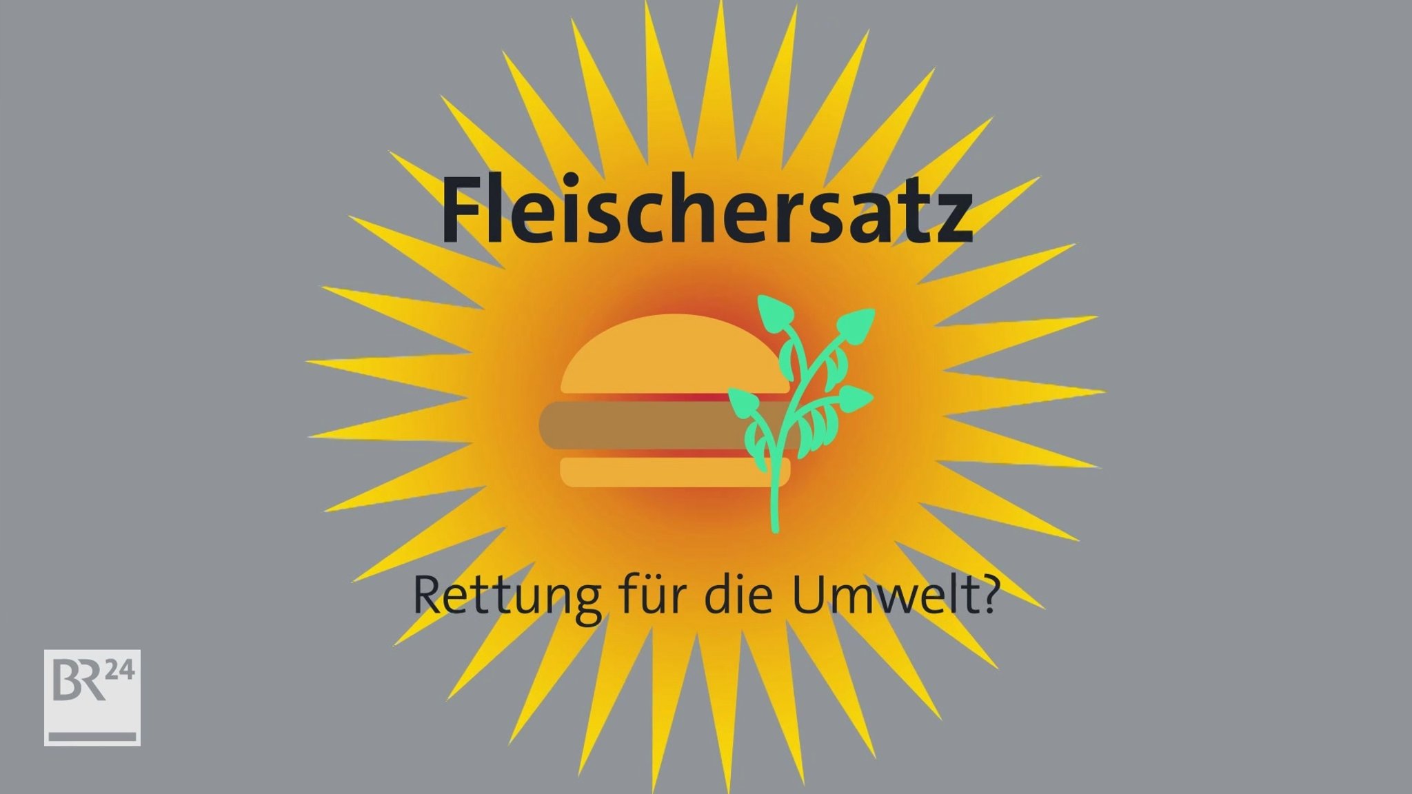 #fragBR24💡 Fleischersatz - Rettung für die Umwelt?