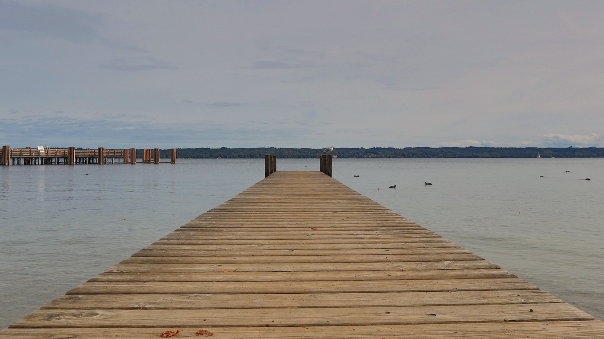 Steg am Starnberger See.