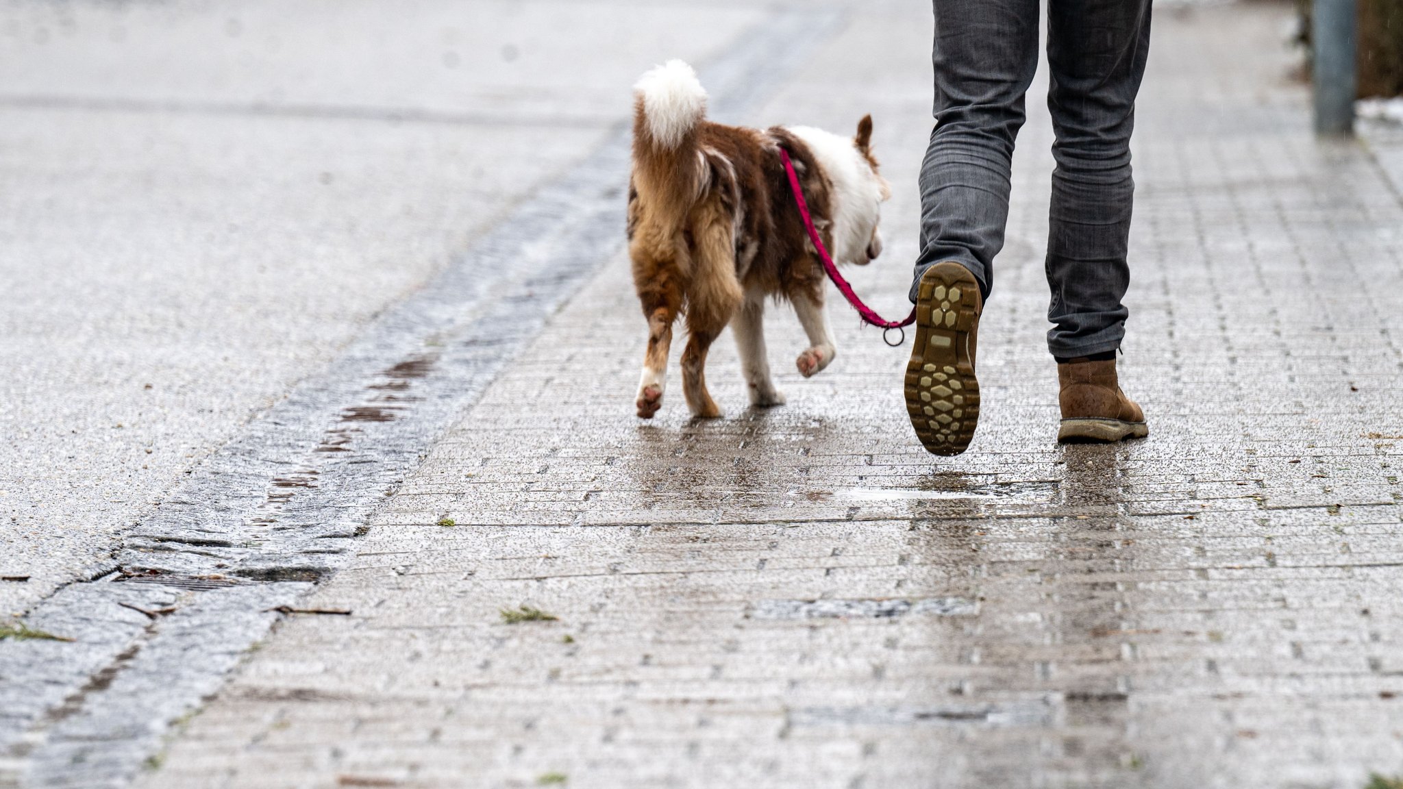 Wetterdienst warnt weiter vor Glatteis in Bayern