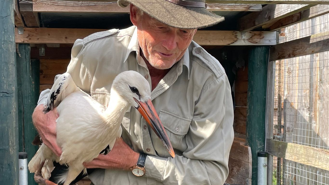 Ein Mann hat einen Storch im Arm.