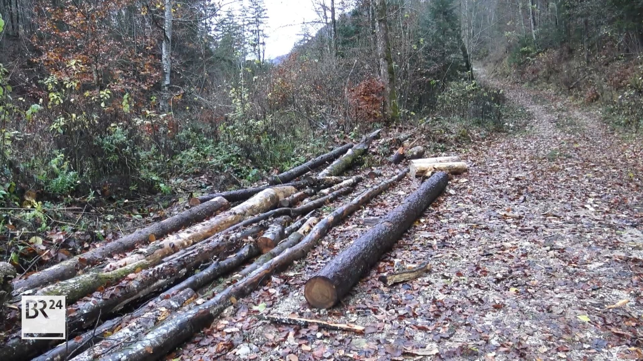 In den Chiemgauer Alpen ist ein Mann aus Traunstein vor drei Jahren tödlich verunglückt. Das meldet die Polizei.