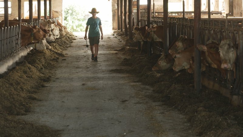 Teenager im Stall | Bild: BR/Raimund Lesk Teenager im Stall