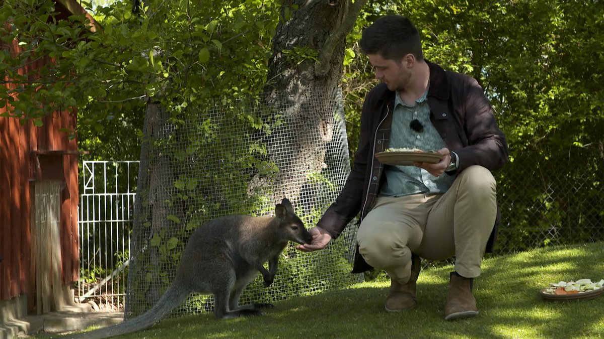 Herr der Tiere: Hof hat jüngsten Zooleiter Deutschlands