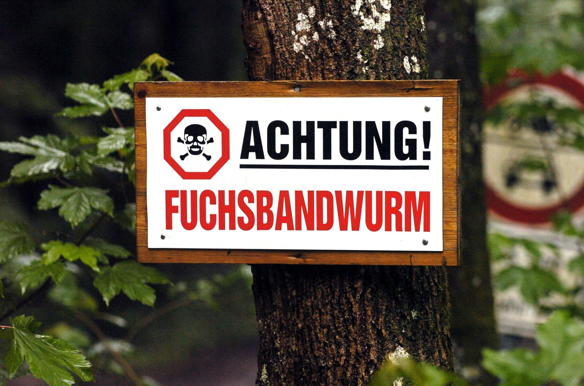 Ein Schild mit der Aufschrift "Achtung Fuchsbandwurm"