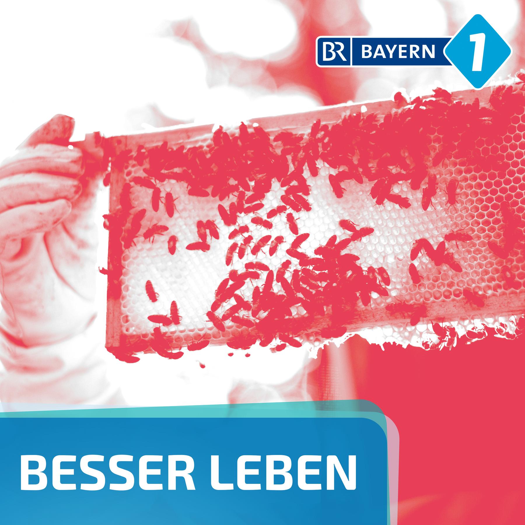 Besser leben. Der Bayern 1 Nachhaltigkeitspodcast