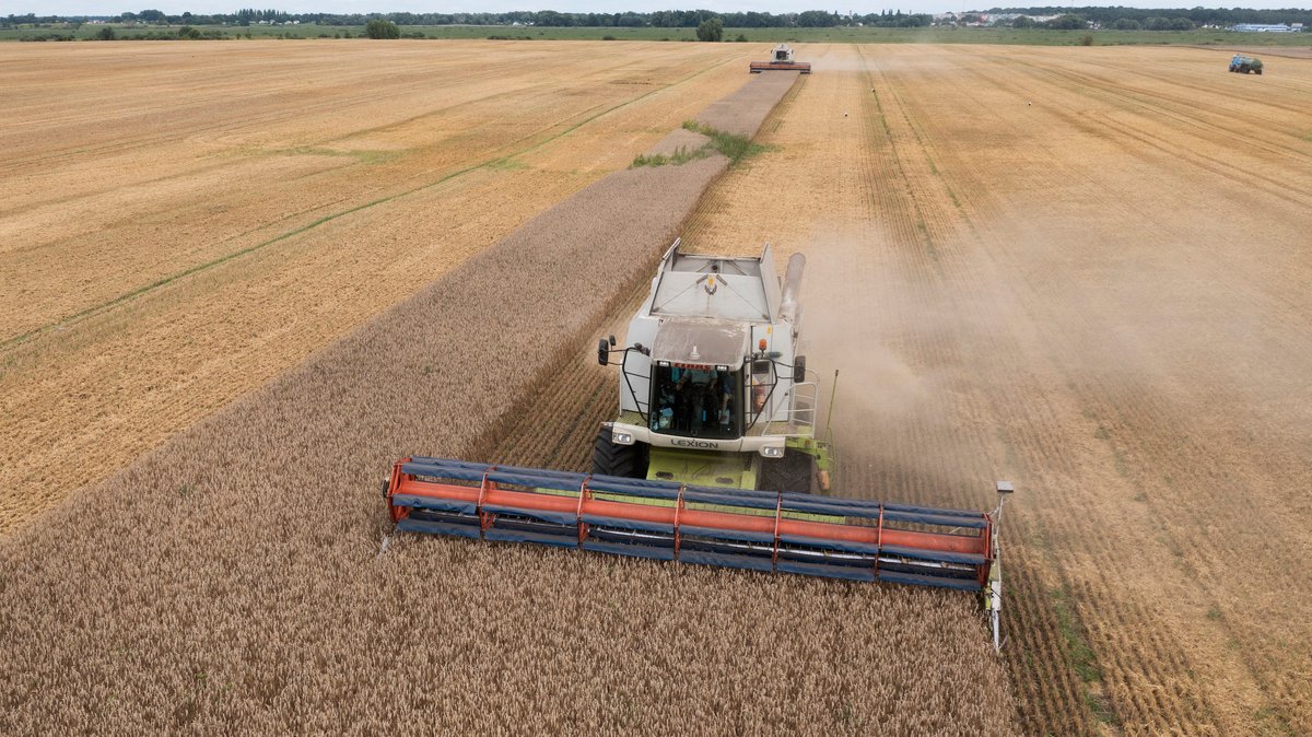 Treffen des Nato-Ukraine-Rats wegen Getreideexporten einberufen
