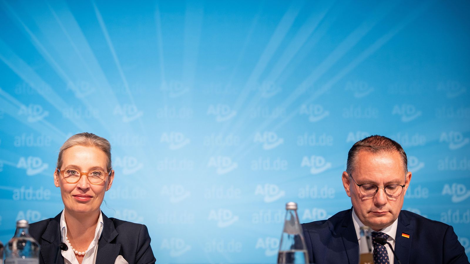 Entwurf zum AfD-Wahlprogramm: Raus aus EU und Klimaabkommen | BR24