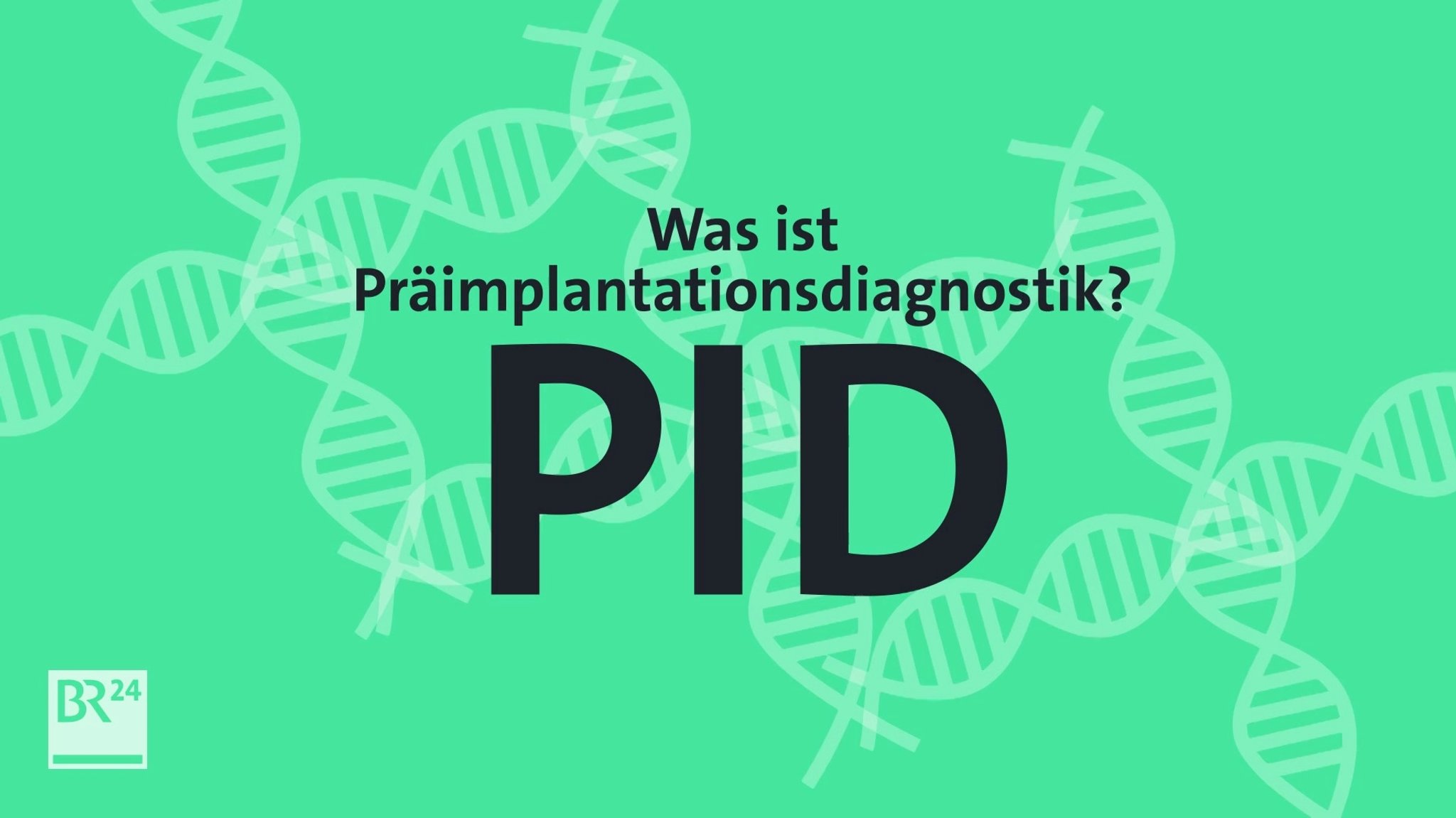 PID - Was ist das eigentlich?