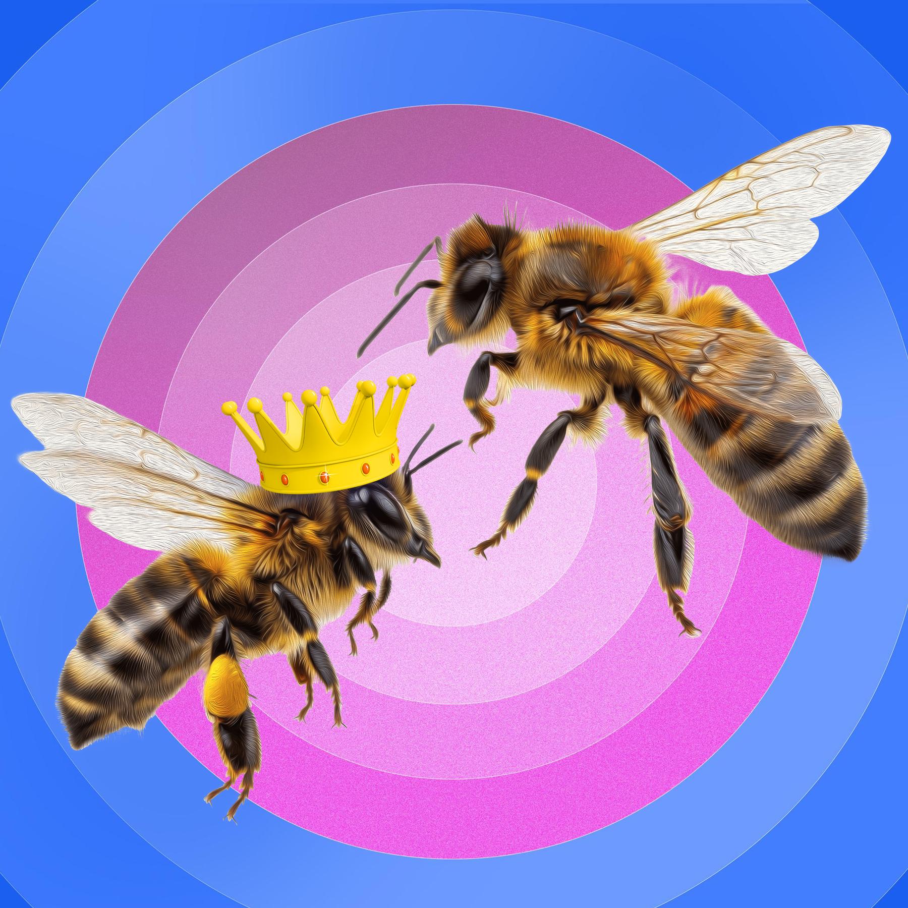 Bienen – Summt die Honigbiene auch im Dirndl? (10/12) episode artwork