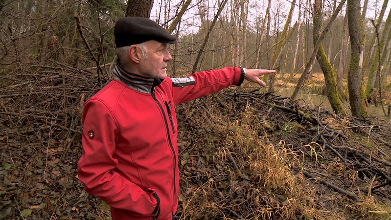 Ein Mann im roten Anorak zeigt vom Ufer aus auf einen Bach. | Bild: BR Ein Mann im roten Anorak zeigt vom Ufer aus auf einen Bach.