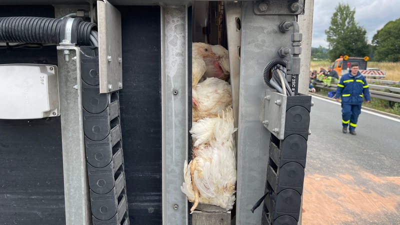 Hühner in Transportboxen nach einem Unfall auf der Autobahn. 