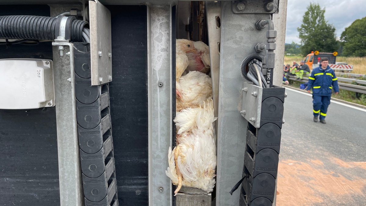 A93: Lkw mit 2.800 Hühnern in Gitterboxen umgekippt
