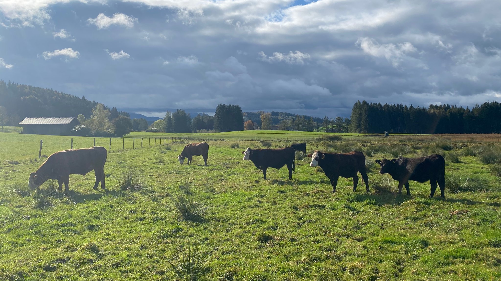 Pioniere in Gummistiefeln – Moorschutz mit der Landwirtschaft