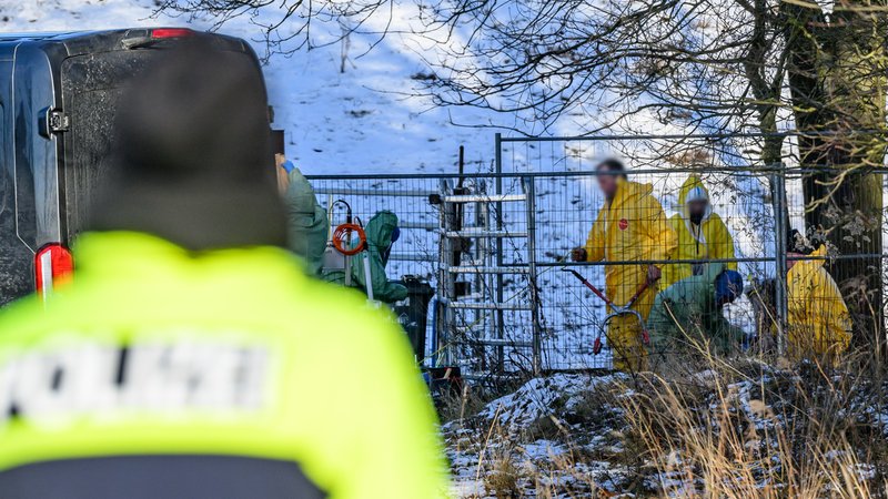 Personen in Schutzkleidung in Brandenburg | Bild: picture alliance/dpa | Patrick Pleul Personen in Schutzkleidung in Brandenburg
